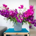 Apartament Sliema, Savoia Luxury For 5 Guests