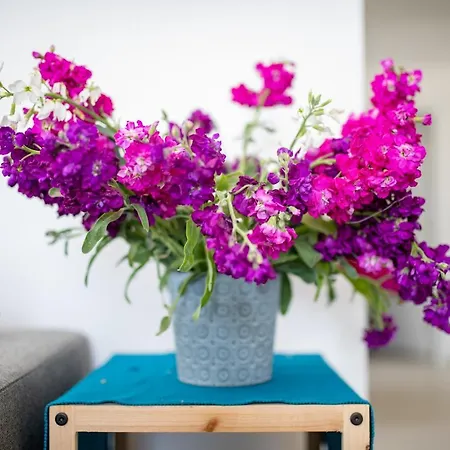 Apartmán Sliema, Savoia Luxury For 5 Guests